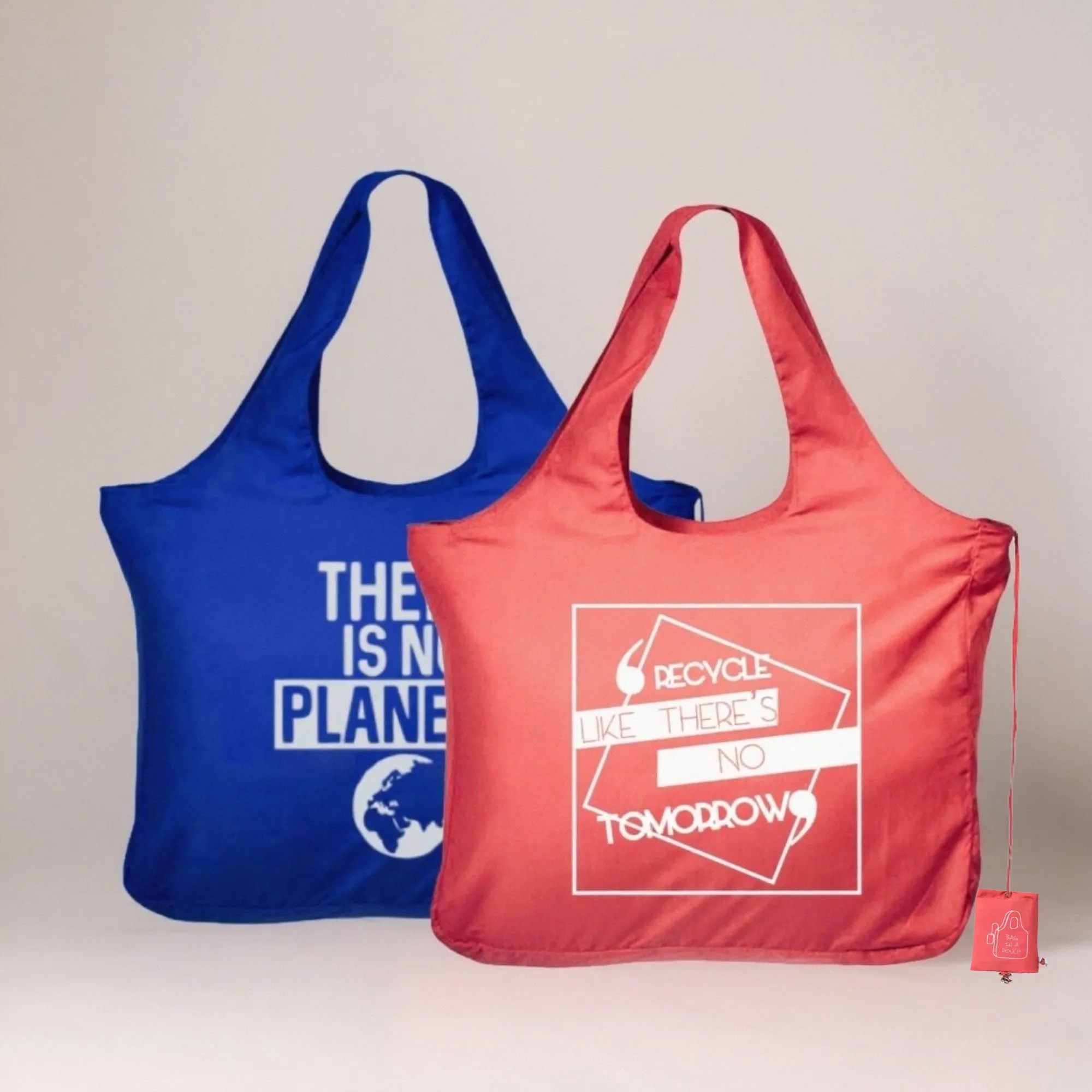 bag-in-pouch-blue-pink-set-of-2