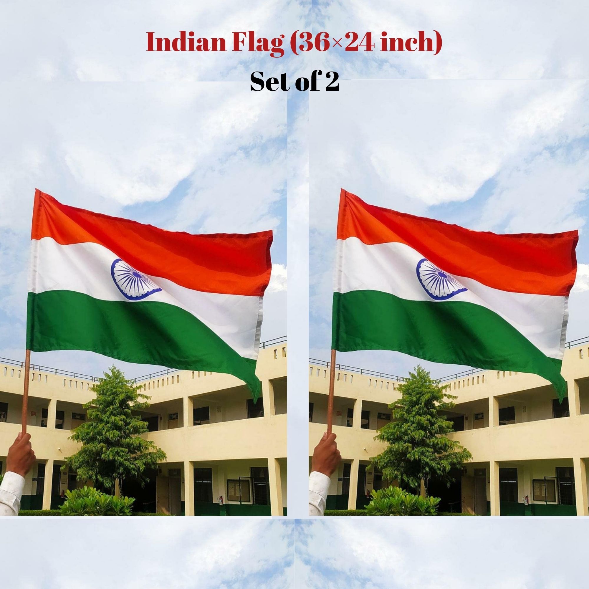 indian-flag-set-of-2